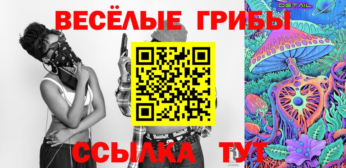 Псилоцибиновые грибы GOLDEN TEACHER Октябрьский